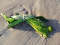 Offering for a successful fishing trip on Talala Beach in Sri Lanka Royalty Free Stock Photo