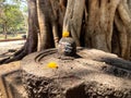 Hindu people offer prayers to shiv linga,symbolic form of God Shiva. Krishna Koyna Pritisangam, karad, satara, India. Royalty Free Stock Photo