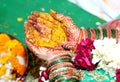 Hindu Rituals haldi on bride`s hands phere