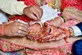 Hindu Rituals haldi on bride`s hands