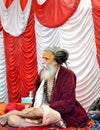 Hindu sadhu with dreadlocks and saffron clothing at simhasth maha kumbh mela Ujjain India Royalty Free Stock Photo