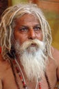 Hindu Sadhu in India