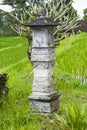 Hindu shrine placed in a rice paddy field. Bali Indonesia. Royalty Free Stock Photo