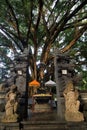 Hindu statue, Tirta Empul temple