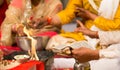 Hindu Wedding India Royalty Free Stock Photo