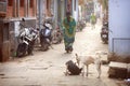 Hindu women on the streets of sacred Varanasi old town Royalty Free Stock Photo