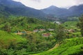 Hinduist temple and tea plantations. Munnar, Kerala, India