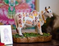 Hindu cow, religious