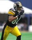 Hines Ward Royalty Free Stock Photo