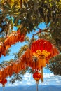 ÃÂhinese lanterns and colorful corn at blue sky background Royalty Free Stock Photo