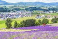 Lavender field on HIllside of Hinode Park in Summer, Kamifurano, Hokkaido Royalty Free Stock Photo