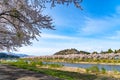 Hinokinai River riverbank in springtime cherry blossom season sunny day