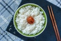 Hinomaru Japanese rice with pickled plum umeboshi