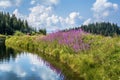 Hintersteinersee mountain lake