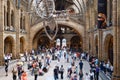 The Hintze Hall at the Natural History Museum in London Royalty Free Stock Photo