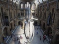 Hintze Hall at the Natural History Museum in London