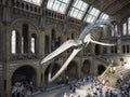 Hintze Hall at the Natural History Museum in London