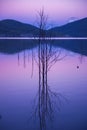 Hinze dam at dusk Royalty Free Stock Photo