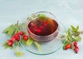 Hip rose tea with fresh fruits and leaves, hot drink Royalty Free Stock Photo