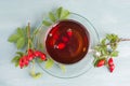 Hip rose tea with fresh fruits and leaves, hot drink Royalty Free Stock Photo