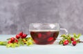 Hip rose tea with fresh fruits and leaves, hot drink Royalty Free Stock Photo