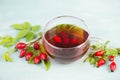 Hip rose tea with fresh fruits and leaves, hot drink Royalty Free Stock Photo