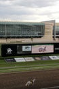 Mexico City, Mexico - July 22 2023: Hipodromo de las Americas is a racetrack where Horses compete and you can bet