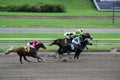 Mexico City, Mexico - July 22 2023: Hipodromo de las Americas is a racetrack where Horses compete and you can bet on the winner