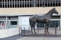 Mexico City, Mexico - July 22 2023: Hipodromo de las Americas is a racetrack where Horses compete and you can bet on the winner