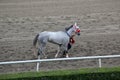 Mexico City, Mexico - July 22 2023: Hipodromo de las Americas is a racetrack where Horses compete and you can bet on the winner