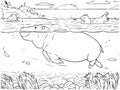Hippopotamus Walking â Wildlife Coloring Page Royalty Free Stock Photo