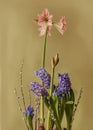 Hippeastrum amarillis Fairytale and hyacinths, sprigs of willow