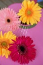 Hippie flower yellow pink gerbera on guitar