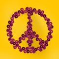 Hippie peace symbol made of primula flowers on yellow background Royalty Free Stock Photo