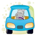 Hippo in a car Royalty Free Stock Photo