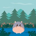 Hippo cute animals cartoons