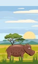 Hippo cute cartoon style in background savannah Africa, isolated, vector