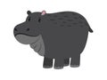 Hippo. Cute vector cartoon hippopotamus, adorable african behemoth animal, river-horse on white