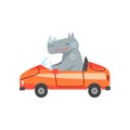 Hippo Driving Red Car, Animal Character Using Vehicle Vector Illustration