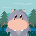 Hippo cute animals cartoons