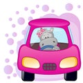 Hippo girl in a car Royalty Free Stock Photo