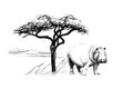 Hippo near a tree in africa. Hand drawn illustration