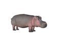 Hippo One