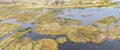 Hippo pool with a lot of animals in the Okavango Delta, Botswana