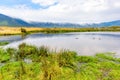 Hippo Pool in the Ngorongoro crater National Park. Safari Tours in Savannah of Africa. Beautiful wildlife in Tanzania, Africa