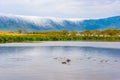 Hippo Pool in the Ngorongoro crater National Park. Safari Tours in Savannah of Africa. Beautiful wildlife in Tanzania, Africa Royalty Free Stock Photo