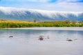 Hippo Pool in the Ngorongoro crater National Park. Safari Tours in Savannah of Africa. Beautiful wildlife in Tanzania, Africa Royalty Free Stock Photo