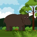 Hippo safari animal