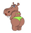 Hippo swimsuit Royalty Free Stock Photo