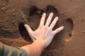 Hippo trace in proportion with male hand in the sand. Imprint of a hippopotamus in the sand
